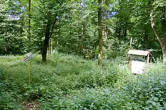 Locatie van voormalige burcht met informatiebord (2014)