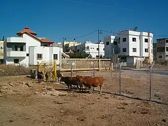 De toegangspoort in het zuiden van het dorpje Ghajar; foto: juli 2007.