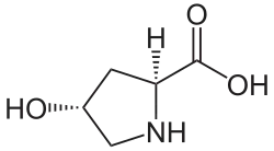 Structuurformule van L-hydroxyproline