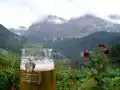 Een glas Forst met de Alpen op de achtergrond