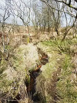 De Élorn bij de bron (gemeentegrens Commana-Sizun, deel Saint-Cadou).