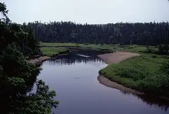 Zicht op de Big Brook dicht bij zijn monding in de Newman Sound.