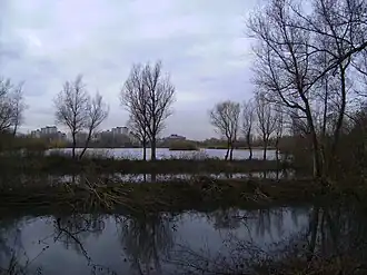 Immerlooplas in het Immerloopark