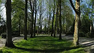 De centrale as van het Esserveld in 2009