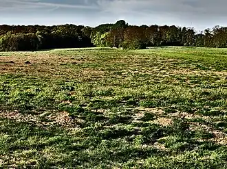 Plateau van Caestert