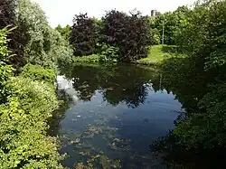 Havenkom Lage Fronten