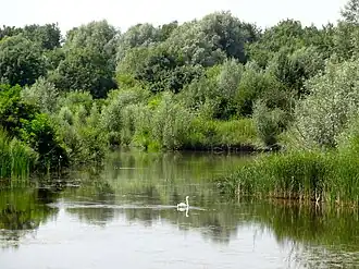 Horsterwold met de Groenewoudse Tocht
