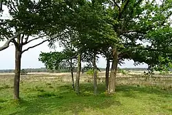 Zicht vanaf de Liesberg