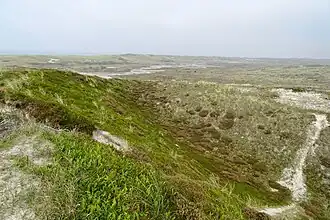 Een vroeg herfstaspect van de associatie van eikvaren en kraaihei