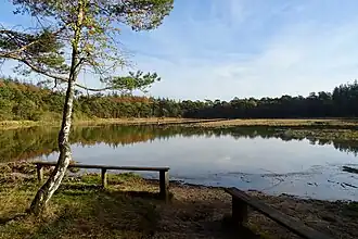 De Wite Mar anno 2018