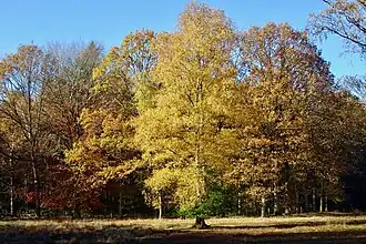 Terborgh (herfst 2018)