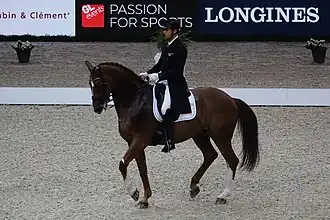 Patrick van der Meer