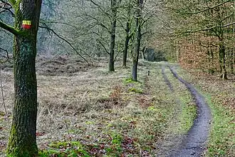 Boswachterij Exloo (december 2019)