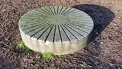 Zitelement (januari 2020)