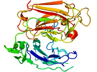 Lintdiagram van reeline (Mus musculus), eiwitstructuur bepaald door röntgenkristallografie