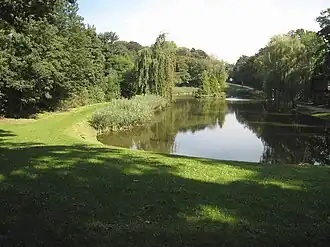 Meertje in het Astridpark