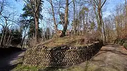 Paden en stapelmuurtjes bij Heilig Hartheuvel