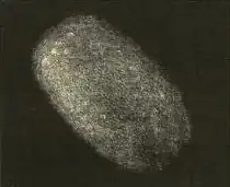 de coma van 5D/Brorsen getekend door Karl Christian Bruhns op 14 mei 1868