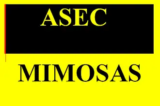 ASEC Mimosas