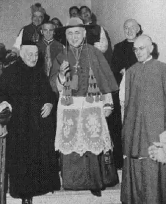 Kardinaal Colombo met galero (ca. 1965)