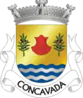 Vlag van Concavada