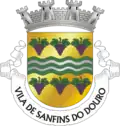 Vlag van Sanfins do Douro