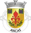 Vlag van Ancas