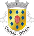 Vlag van Canelas