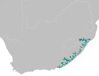 de verbrokkelde ecoregio