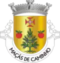 Vlag van Maçãs de Caminho