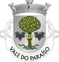 Vlag van Vale do Paraíso
