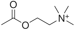 Structuurformule van acetylcholine