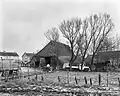 De schuur achter het Blaeuwe Huus in 1969.