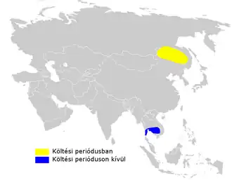 Mantsjoerijse veldrietzanger