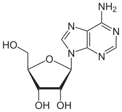 Structuurformule van adenosine