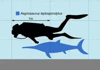 Aegirosaurus