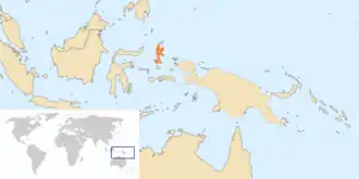 Molukse dwergnachtzwaluw