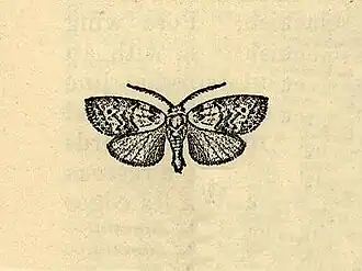 Afrida tortriciformis