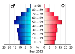 Bevolkingspiramide van de gemeente Best