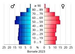 Bevolkingspiramide van de gemeente Borsele