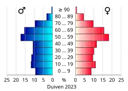 Bevolkingspiramide van de gemeente Duiven