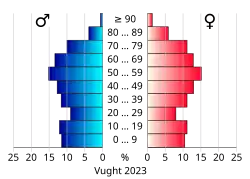 Bevolkingspiramide van de gemeente Vught