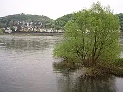 De monding in de Rijn