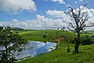 Landschap in de gemeente Alagoa Nova
