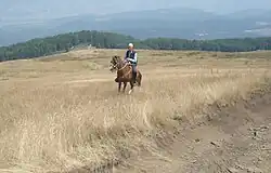 Albanees paard onder het zadel