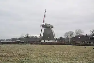 Albertdina (januari 2009)