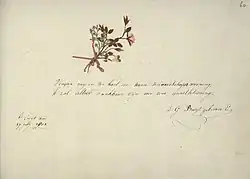 030r met tekening van bloemetje