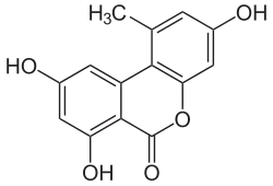 Structuurformule van alternariol