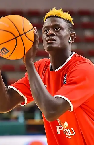 Sylla in 2019