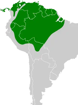 Geelvoorhoofdamazone